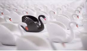 پدیده قوی سیاه (Black Swan) در بازارهای مالی